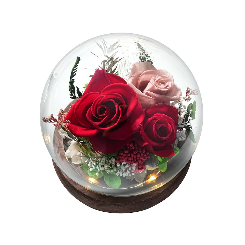 Valentines Day Gifts for Her, Preserved Flowers in Glass Dome, Long-Lasting E...
