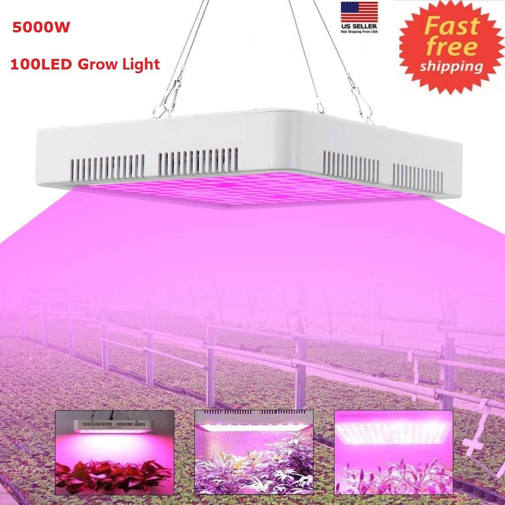 5000W LED Grow Light Full Spectrum For Indoor Hydroponic Plant Flower Veg W/Fan