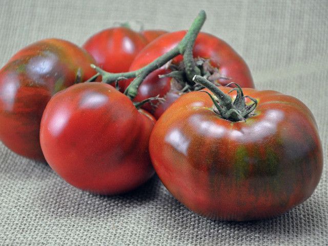 Paul Robeson Tomato, 30 Seeds, Rare Heirloom, NON-GMO, Beefsteak Type, FREE SHIP