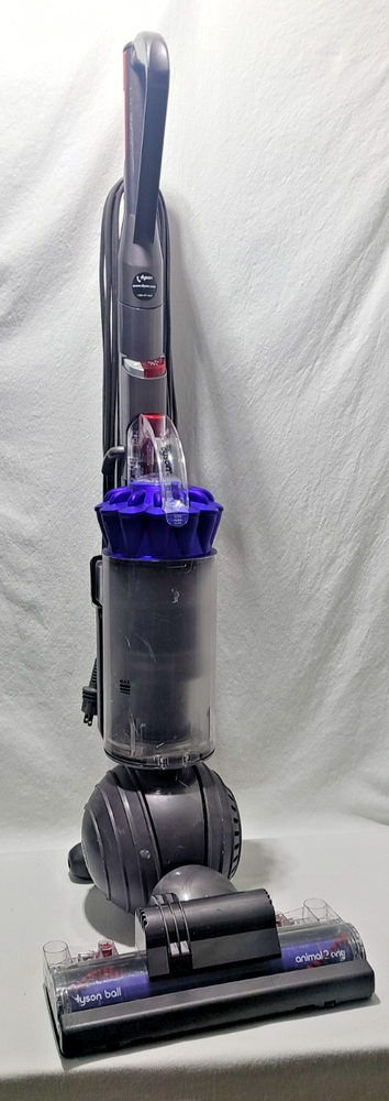 UP19 Dyson Ball Animal 2 Original Upright vacuum for home use with 3 Accessories