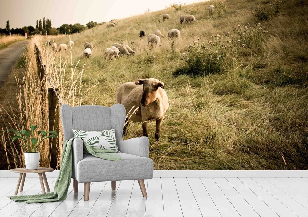 3D Grassland Sheep Landscape Wall Murals Wallpaper Murals Wall Sticker