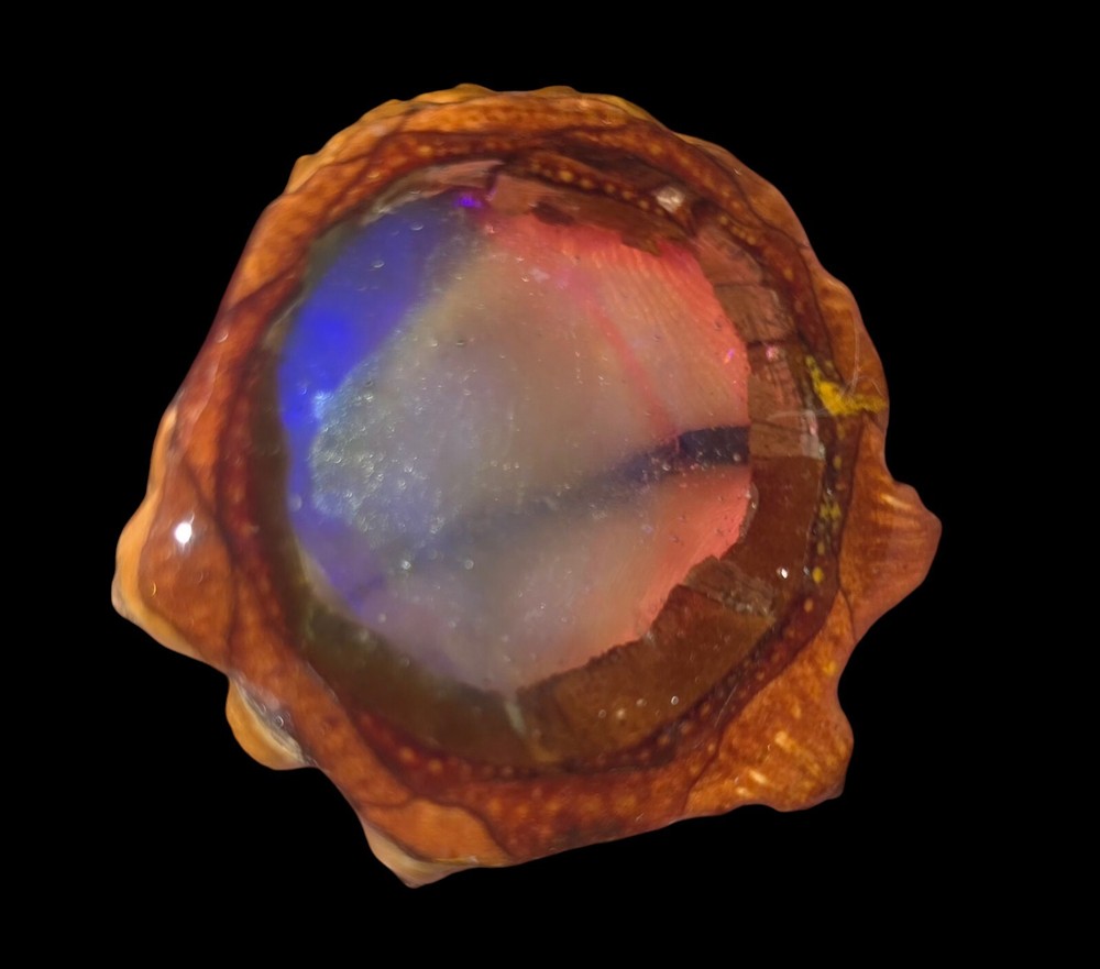 Knobcone( THIRD EYE)Colorful Neon Resin Filled Slice Pendant