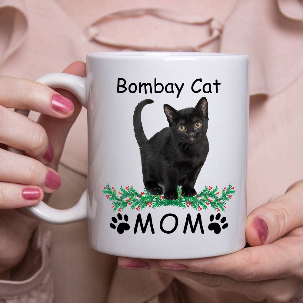 Funny Bombay Cat Gifts For Women A Wise Woman Once Said Coffee Mug White