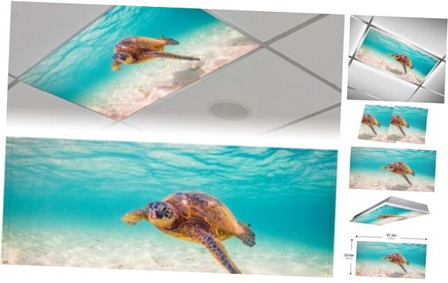 2 Pack Fluorescent Light Covers for Classroom - Sea Turtle Magnetic color-2