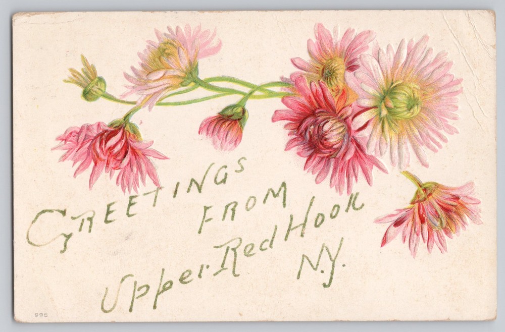 Greetings from Upper Red Hook NY New York Embossed Floral 1909 Antique Postcard