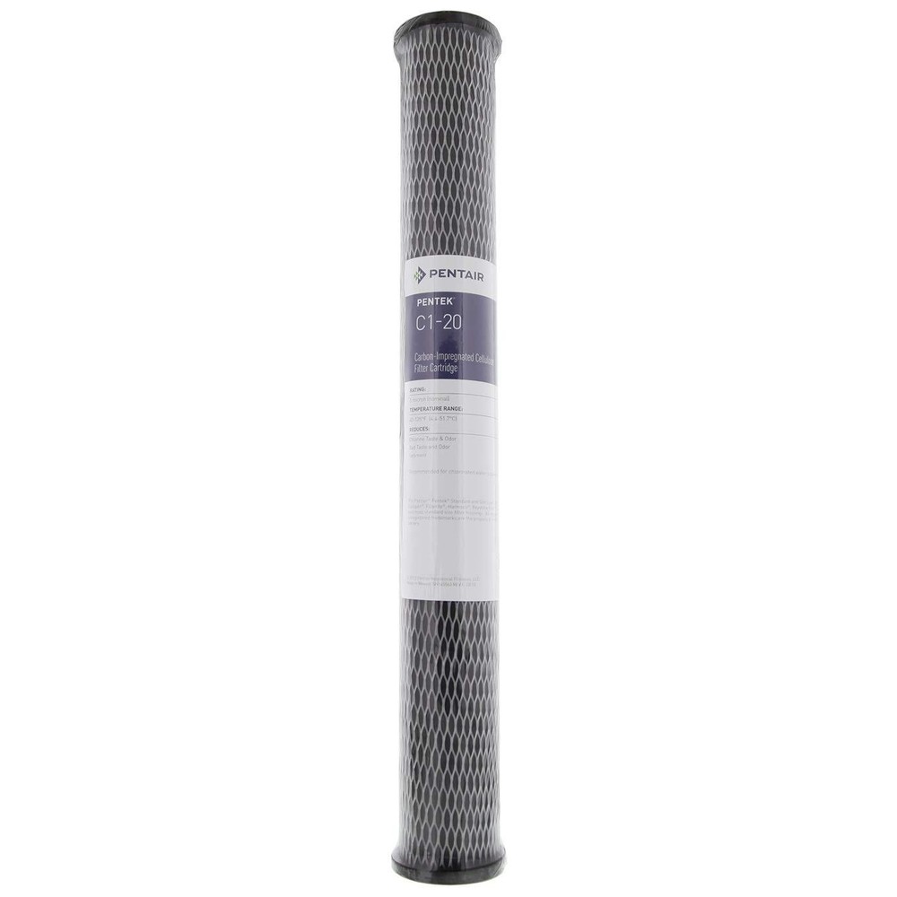 Pentair C1-20 Carbon Water Filter, 20-Inch, Whole House Dual Purpose Powdered...