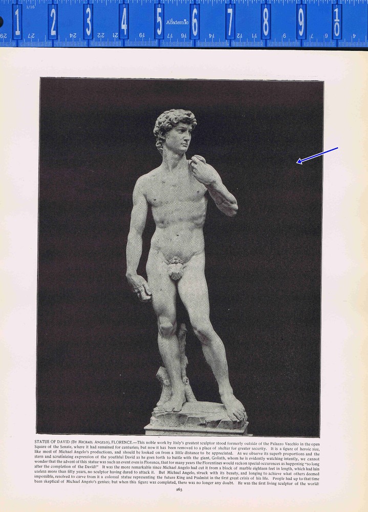 Michelangelo's David Statue Florence Italy 1892 Antique Print