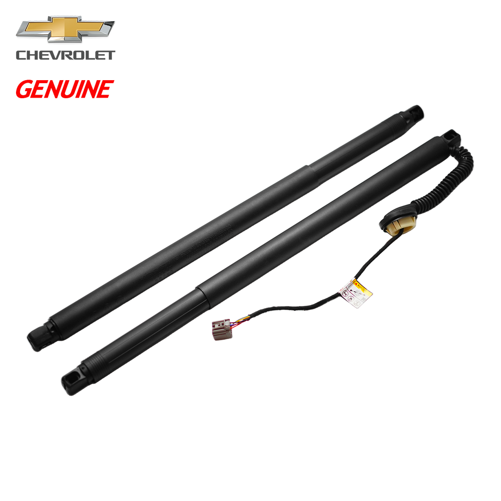 2x OEM Genuine Chevy Tahoe 2015-19 Tailgate Power Lift Supports Struts 84306929