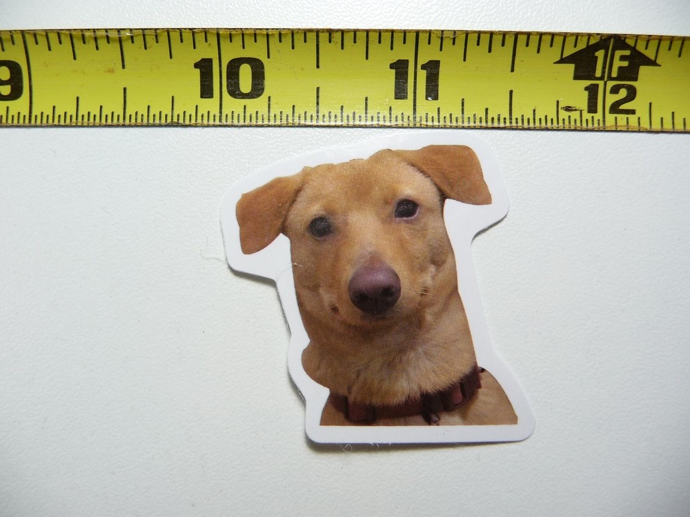 Playful Cute Dog Sticker Decal AX130 - Small Fun Hi Pet Design