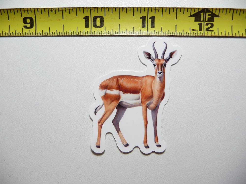 Chinkara Indian Gazelle Wildlife Sticker Decal Nature Animal Conservation