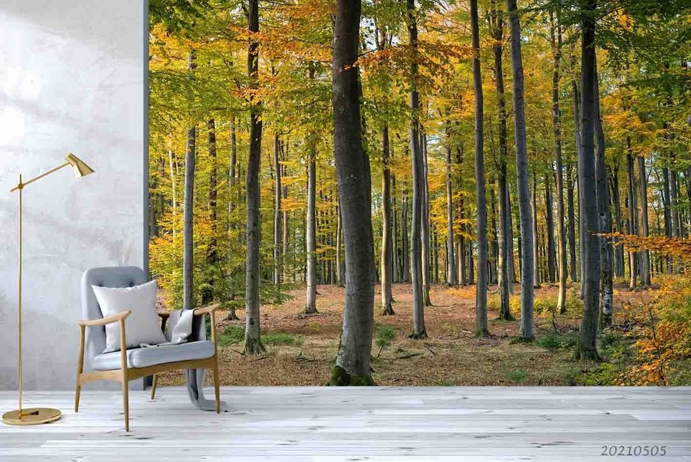 3D Forest Autumn Landscape Wall Murals Wallpaper Murals Wall Sticker