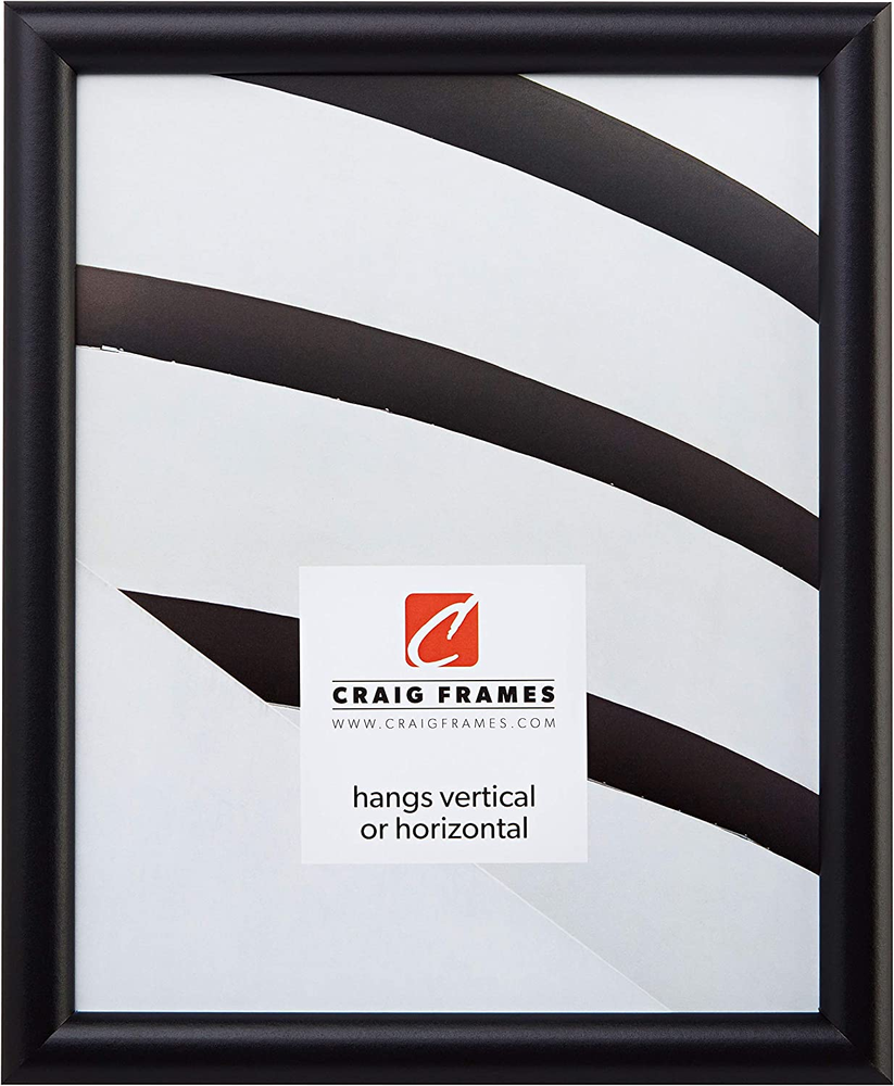 FW2BK 8x10 Inch Smooth Finish Picture Frame in Black, 0.765-Inch Wide