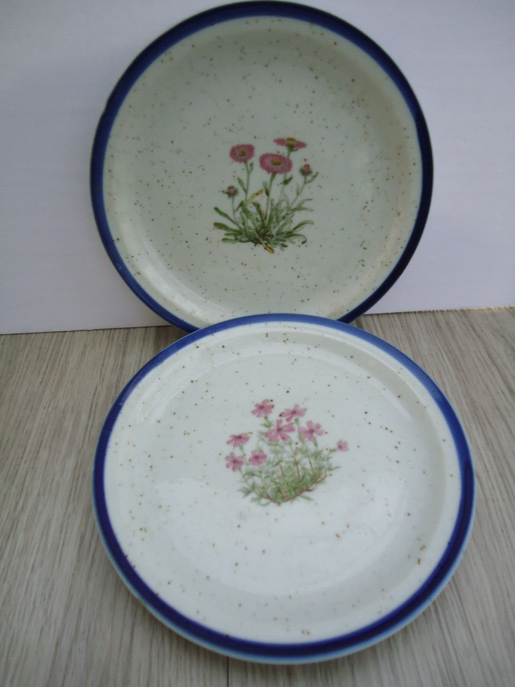 VTG Speckled Stoneware Floral Salad Plates Set of 2 Pink Flowers Blue Rim Detail