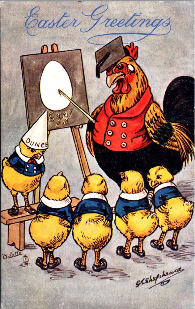 Vintage Easter Postcard a/s Shepheard  Rooster Teaching Chicks About Eggs c 1914