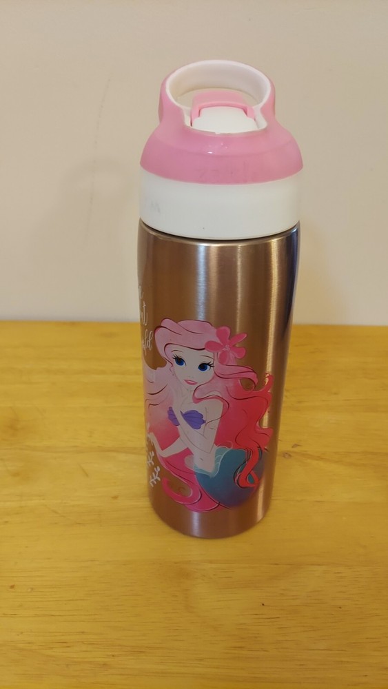 Zak Designs Disney Princess 19oz Stainless Steel Water Bottle NWOT
