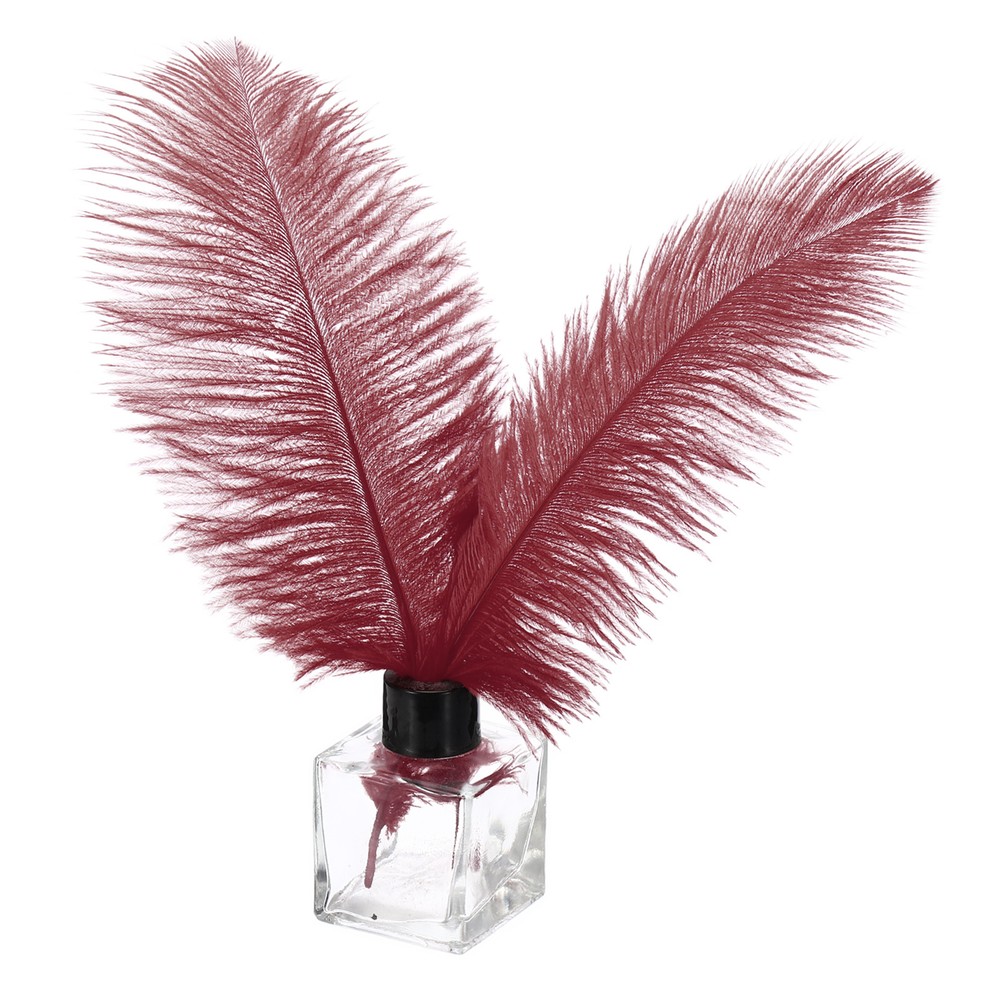 30 Pcs 8-10 Inch Natural Burgundy Ostrich Feathers Bulk for Decor-image