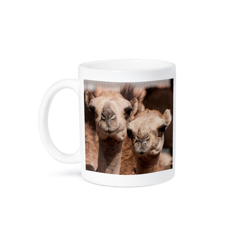 3dRose Al Ain Dubai UAE Camels Design Ceramic Mug