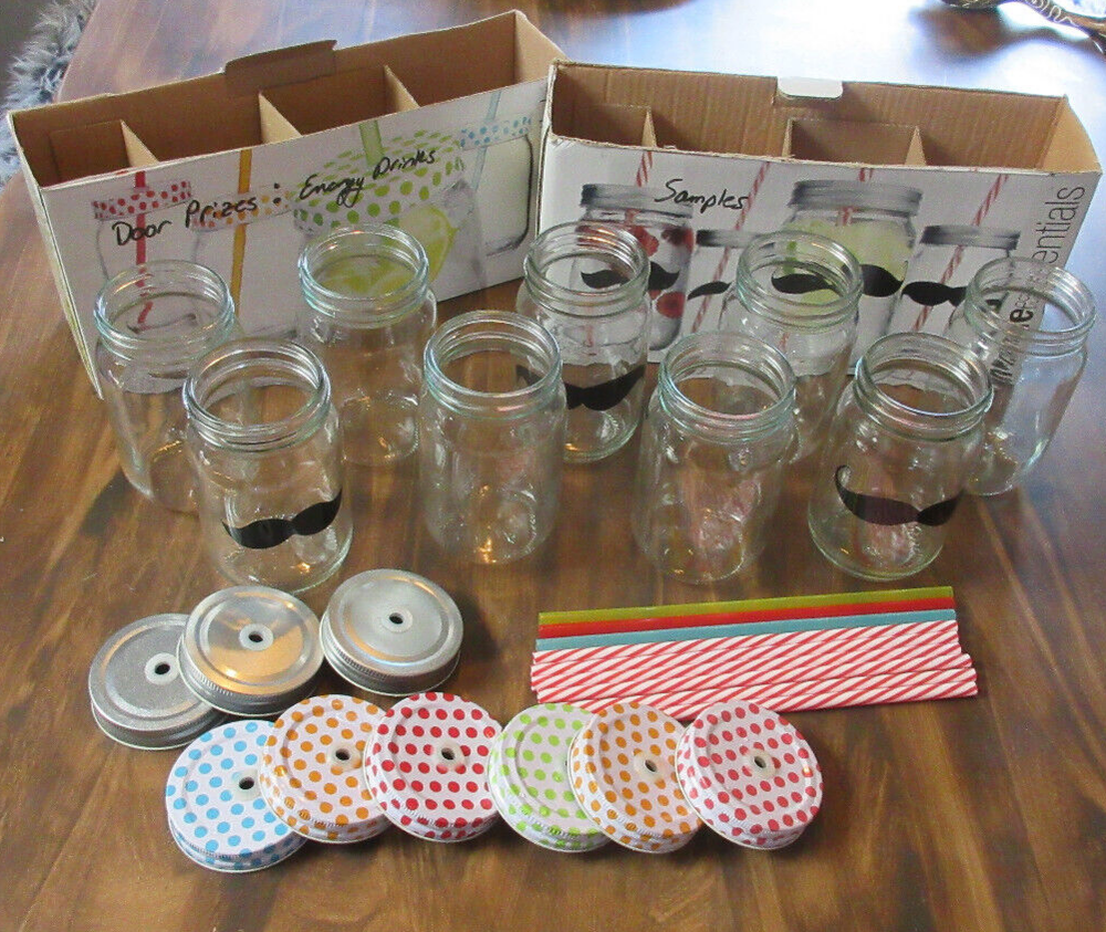 9-Pack Mason Jars with Lids & Straws for Drinks