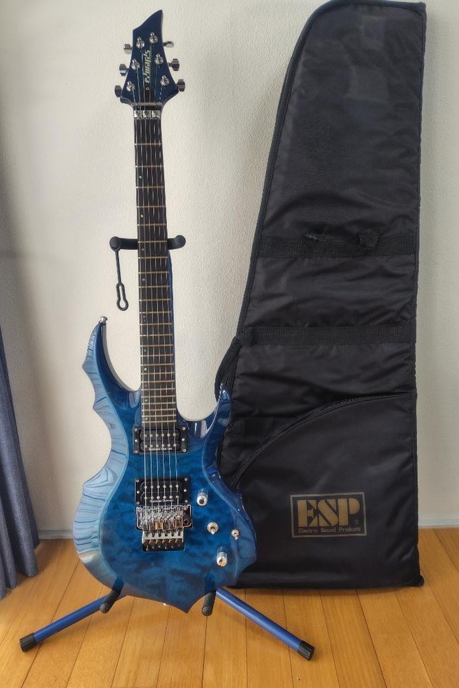 Edwards E-FR-145GT/QM Forest Resonator Guitar