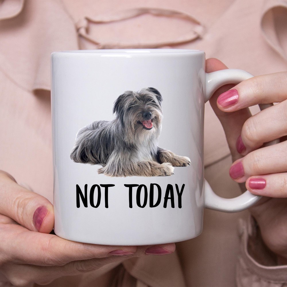 Fun Pyrenean Shepherd Silver Merle Not Today Lazy Dog Mug Gift for Women Dog Lovers  