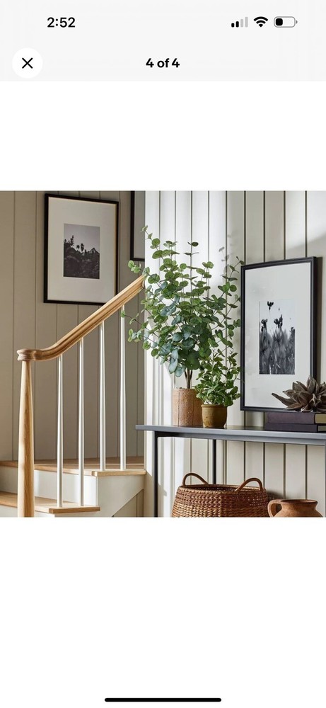 Large Artificial Eucalyptus Plant in Pot - Threshold x Studio Design