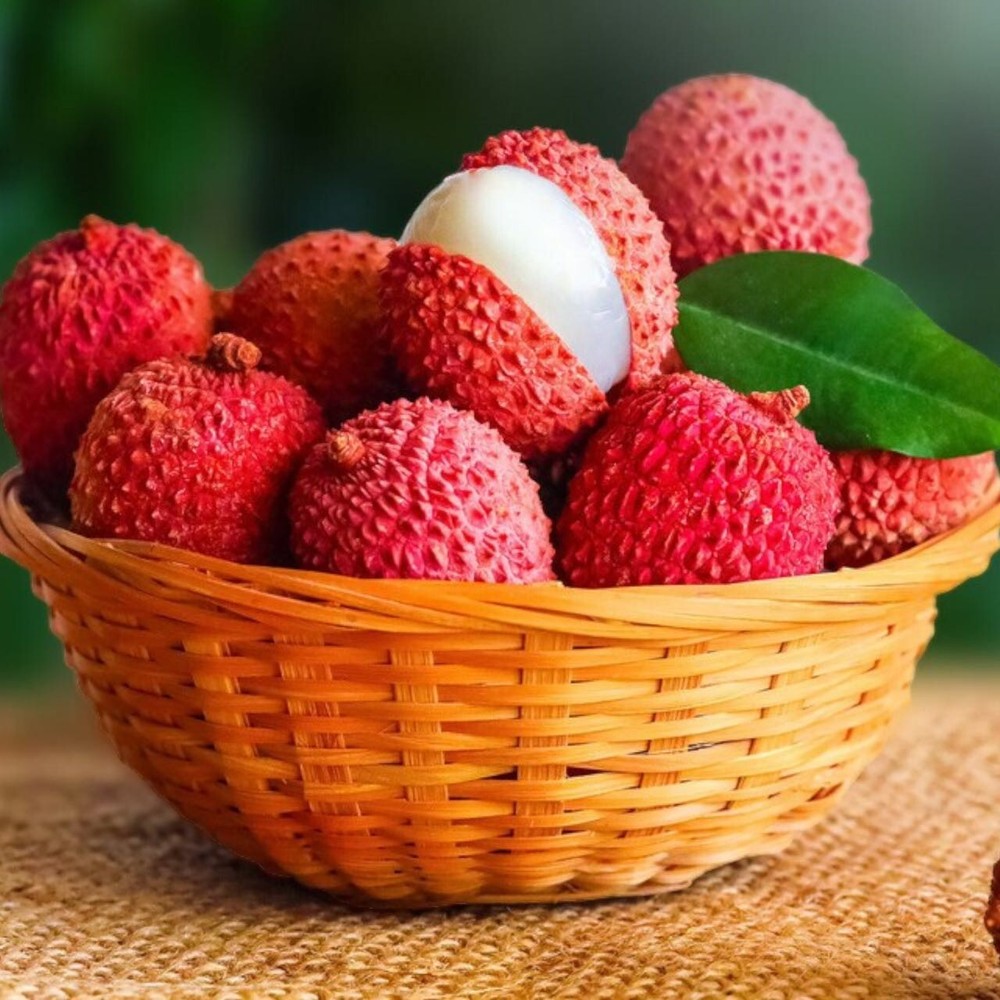 10pcs Lychee Tropical Fruit Heirloom Seeds - Non-GMO Litchi Seed for Gardening.