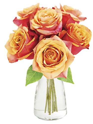 KaBloom PRIME NEXT DAY DELIVERY - Bouquet of 6 Orange Roses with Vase Flowers...-image