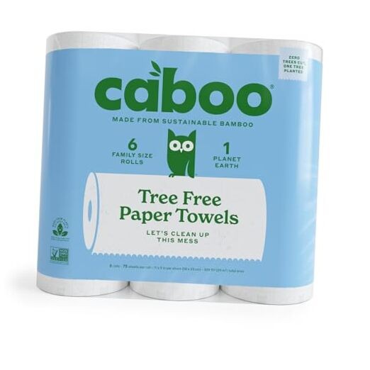 Eco-Friendly Tree Free Paper Towels, 6 White Rolls