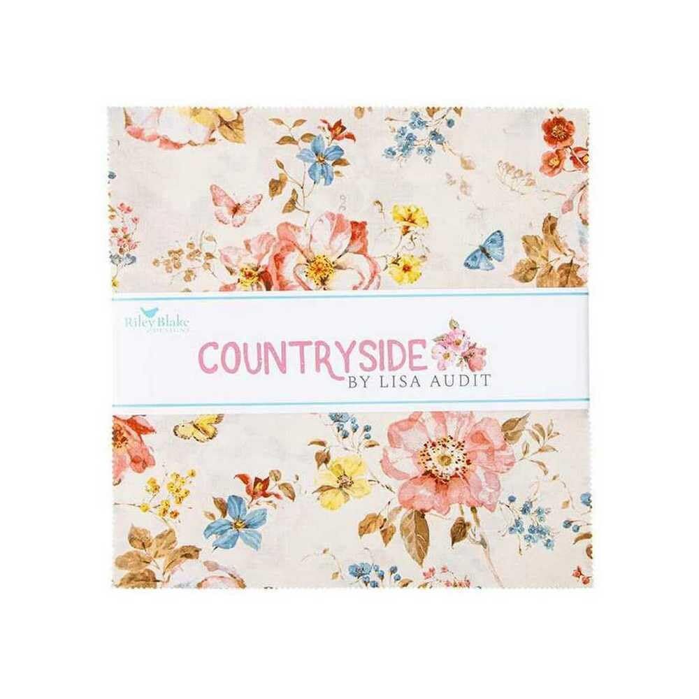 Lisa Audit Countryside 10