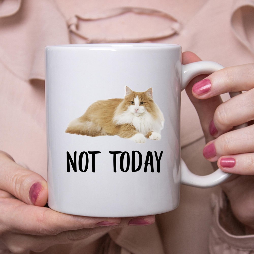 Funny Norwegian Forest Cat White Orange Not Today Cat Mug Lazy Gift For Cats