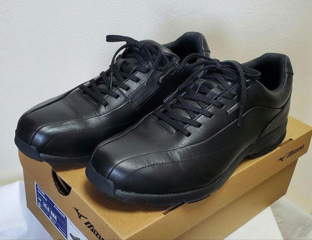 Mizuno Walking Shoes Ld40Viigtx Gore-Tex Size US7