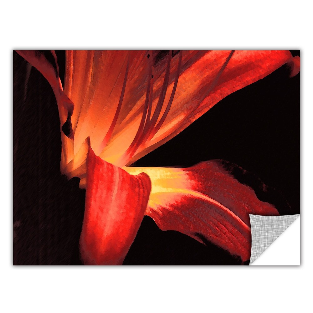 Dean Uhlinger Blossom Glow, Art Appeelz Removable Wall Art  Small