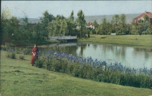 Ansichtskarte Bad Pyrmont Partie aus dem Kurpark 1920  (Nr.938)