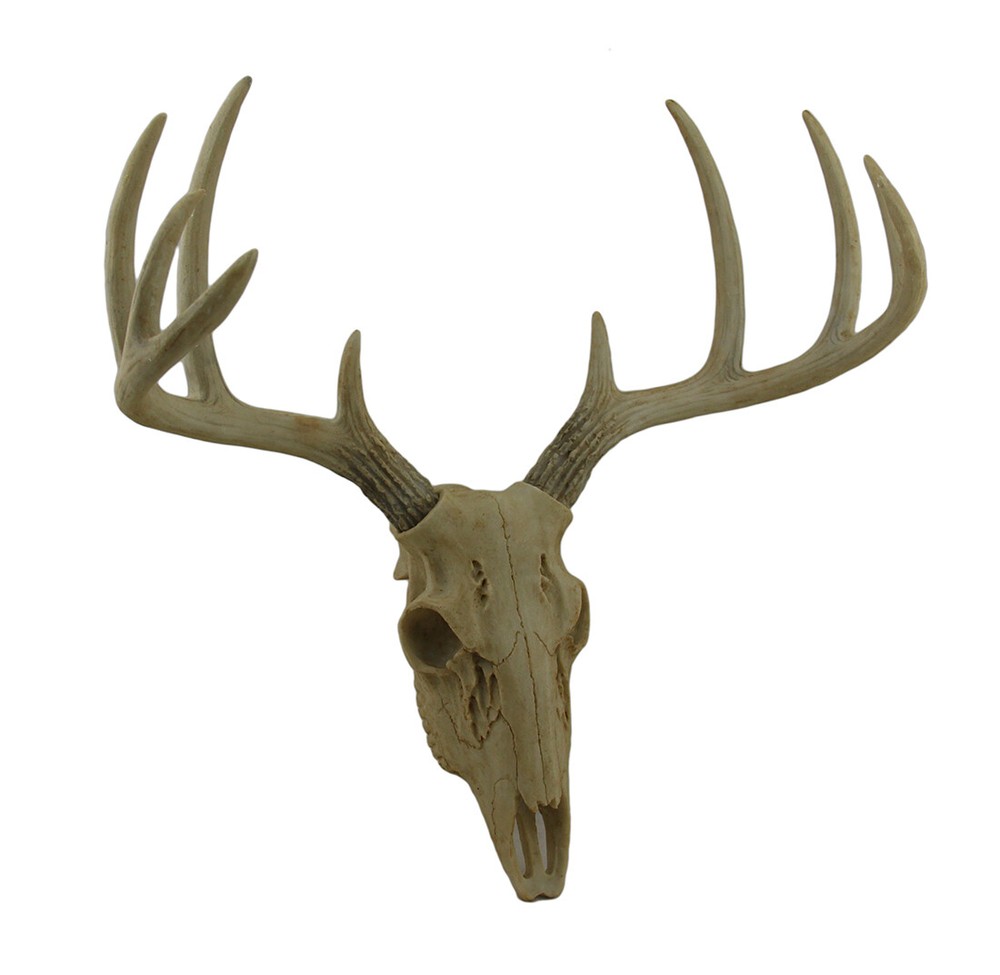 Little Bucky Wall Mounted Faux Aged Finish 10 Point Antlers Deer Skull 15 Inch
