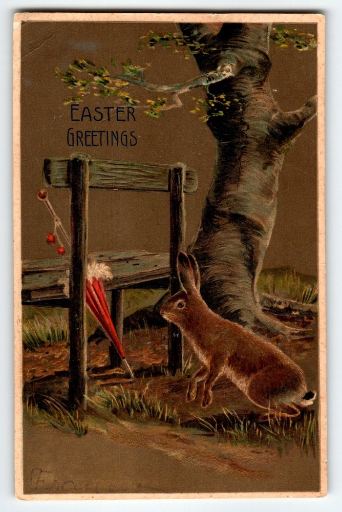 Easter Greetings Postcard Bunny Rabbit Looks At Umbrella Embossed Vintage 1909