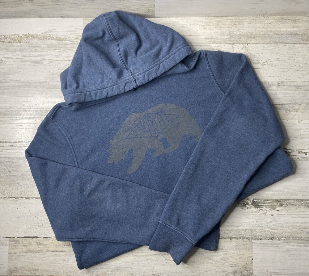 North Face Blue Bear Logo Hoodie Pullover for Men Size Large EUC