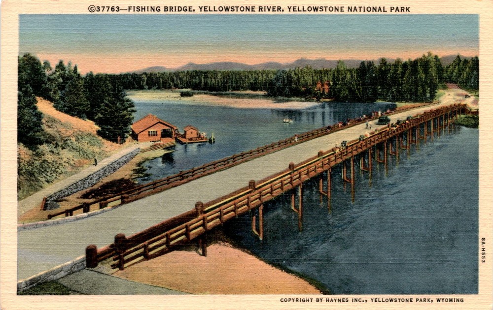 Fishing Bridge, Yellowstone River, Yellowstone National Park, Wyoming, Postcard