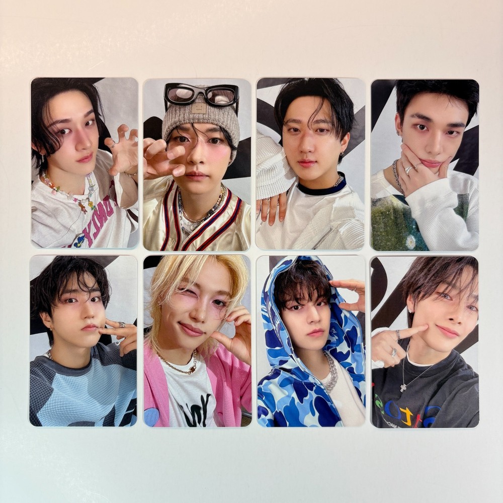 [Stray Kids] World Tour dominATE : celebrATE MD Real Touch Photocard