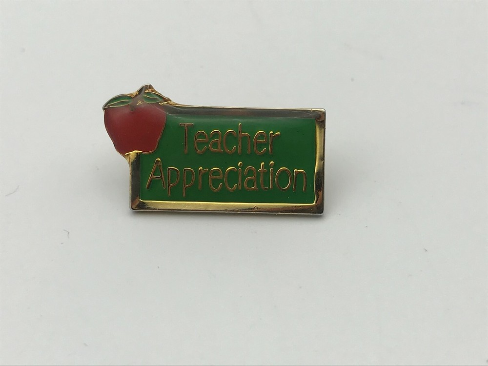TEACHER APPRECIATION Lapel Pin Apple Colorful Teachers Gift Small  Homeschool