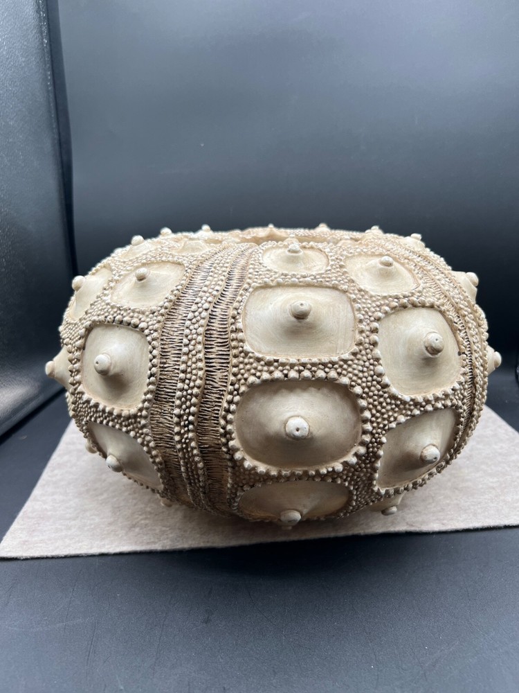 Decorative Vase Sea Urchin shape large arrangement container