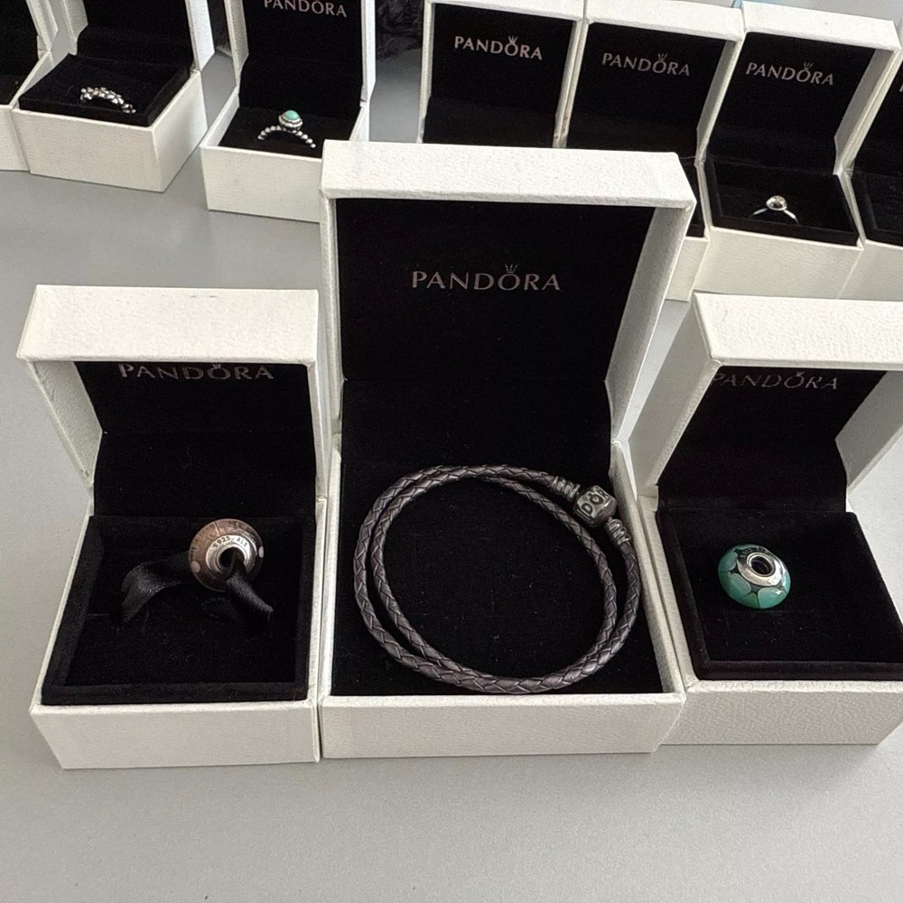 Pandora Charm Bracelet with Double Leather Band  
