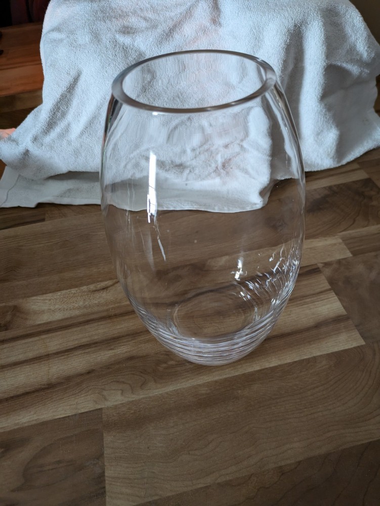 9.5 Inch Thick Clear Glass Flower Vase for Fresh Blooms