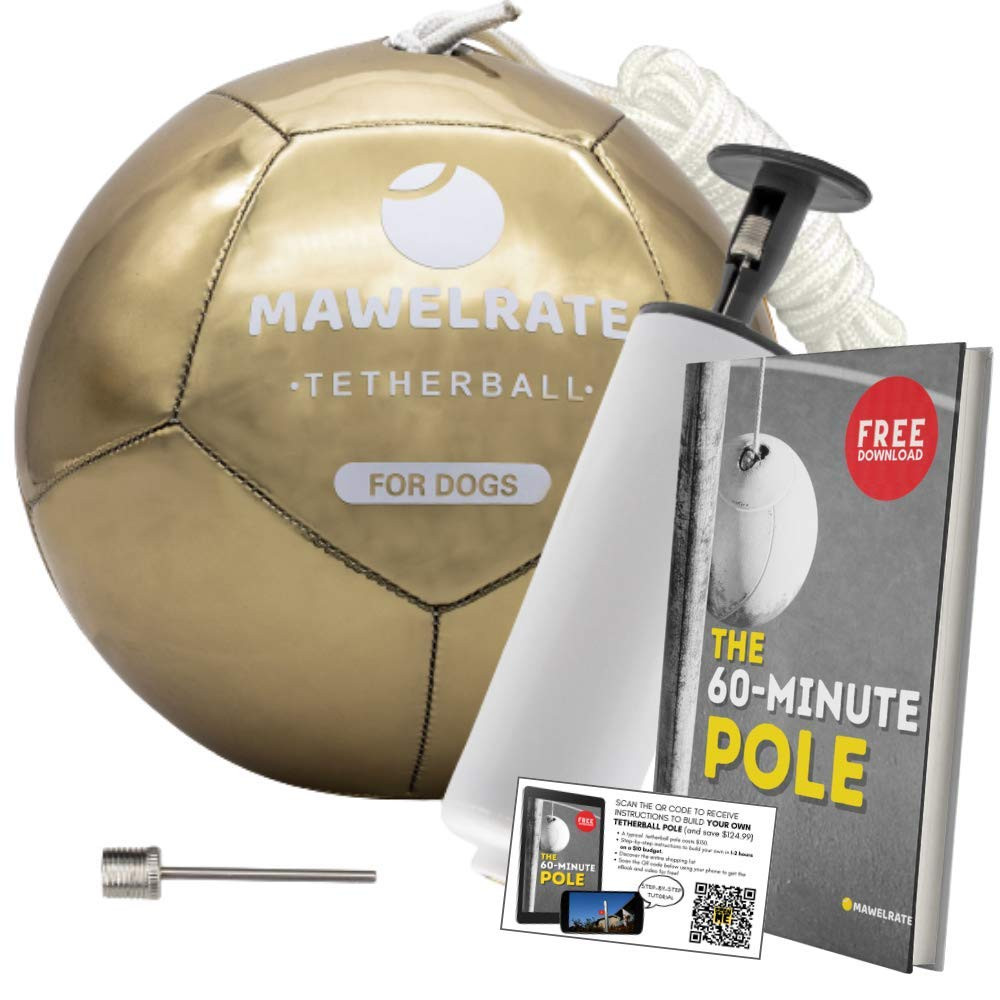 Durable Tetherball for Small and Big Dogs - Perfect Heavy Duty Outdoor Dog To...