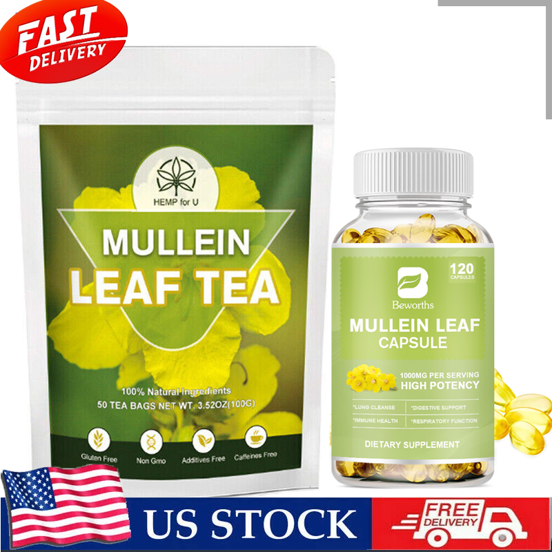Natural Mullein Leaf Capsules Herbal Supplement For Lung Cleansing Detox US