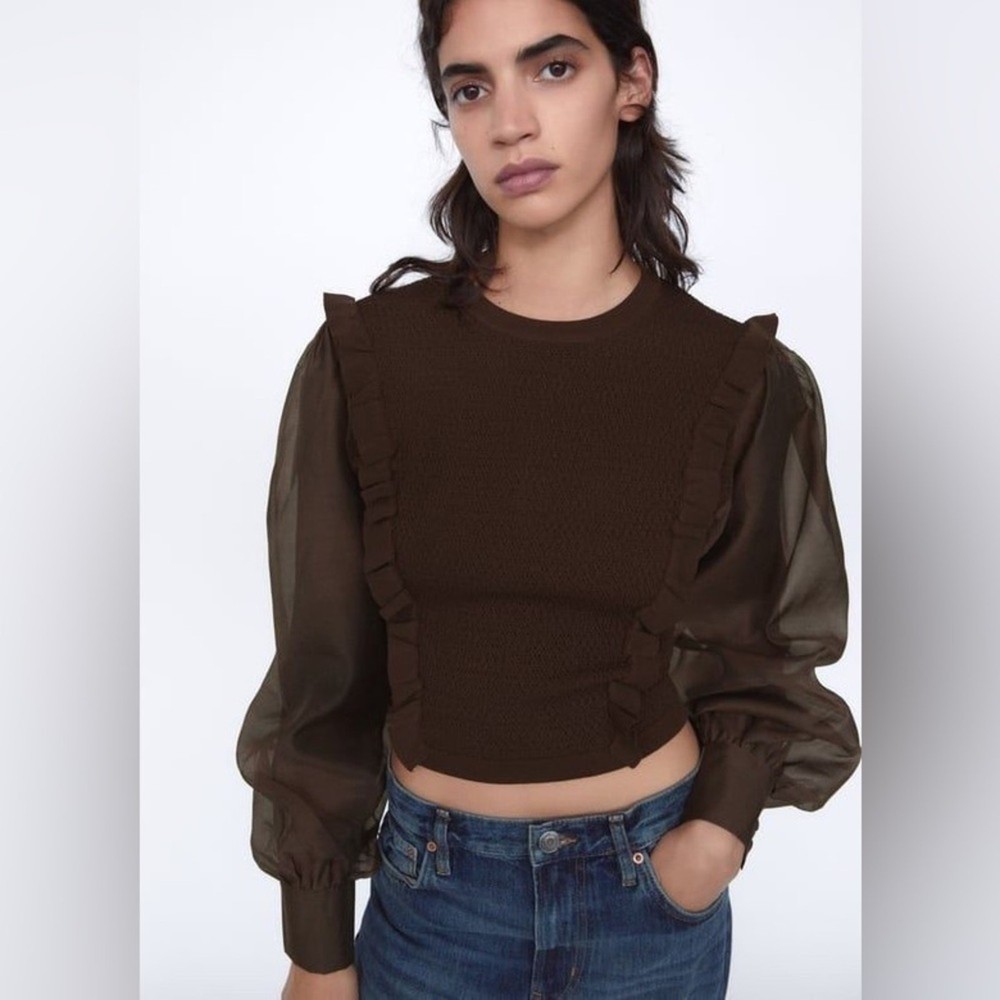 Zara Brown Ruffle Blouse Knit Puff Sheer Long Sleeves Crew Neck Sweater Top EUC