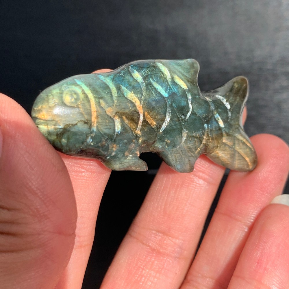 1pc  Rare natural labradorite crystal hand-carved fish sculpture cure