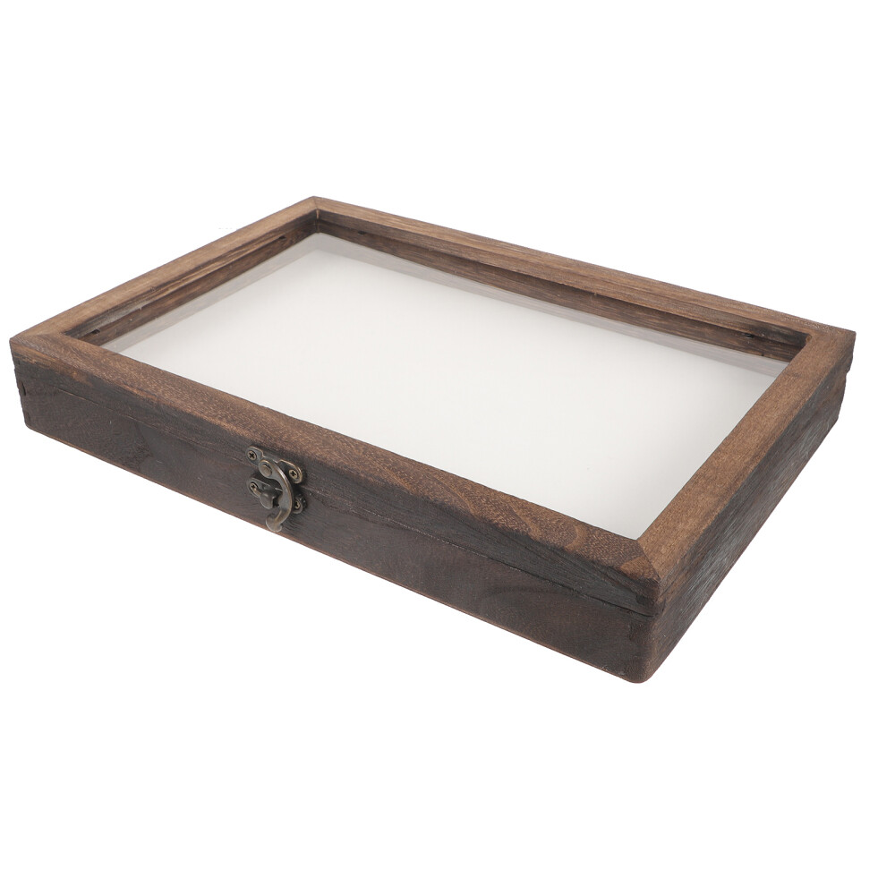 Box Display Case with Eva Foam Bats Child