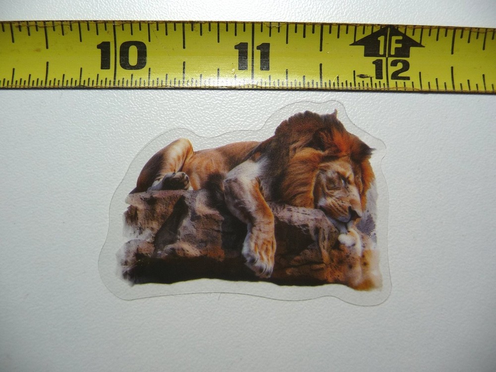 LION TAKING NAP STICKER DECAL WILDLIFE COLORFUL CUTE ZOO