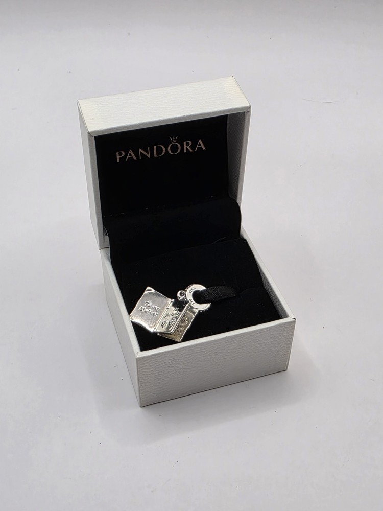 Pandora Our Family Book  Silver Charm 925 Ale