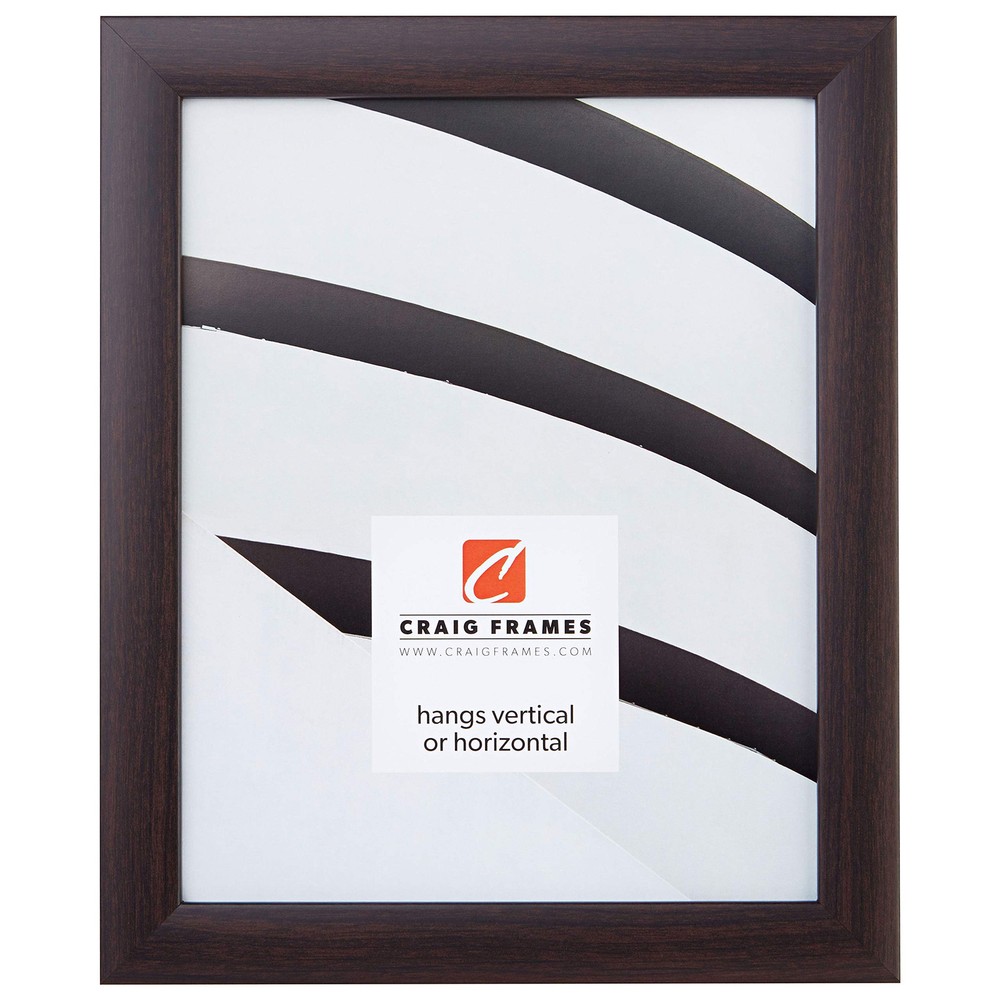 Contemporary 12x18 Inch Brazilian Walnut Brown Picture Frame by Craig Frames